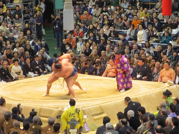 sumo013